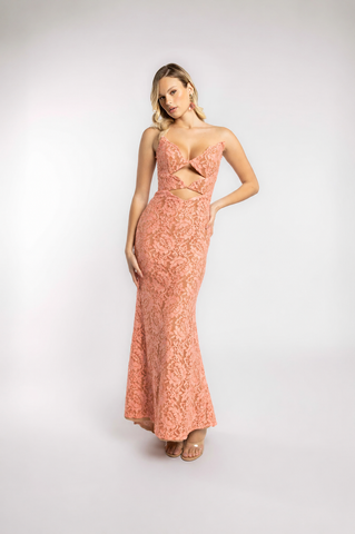 Blush lace gown